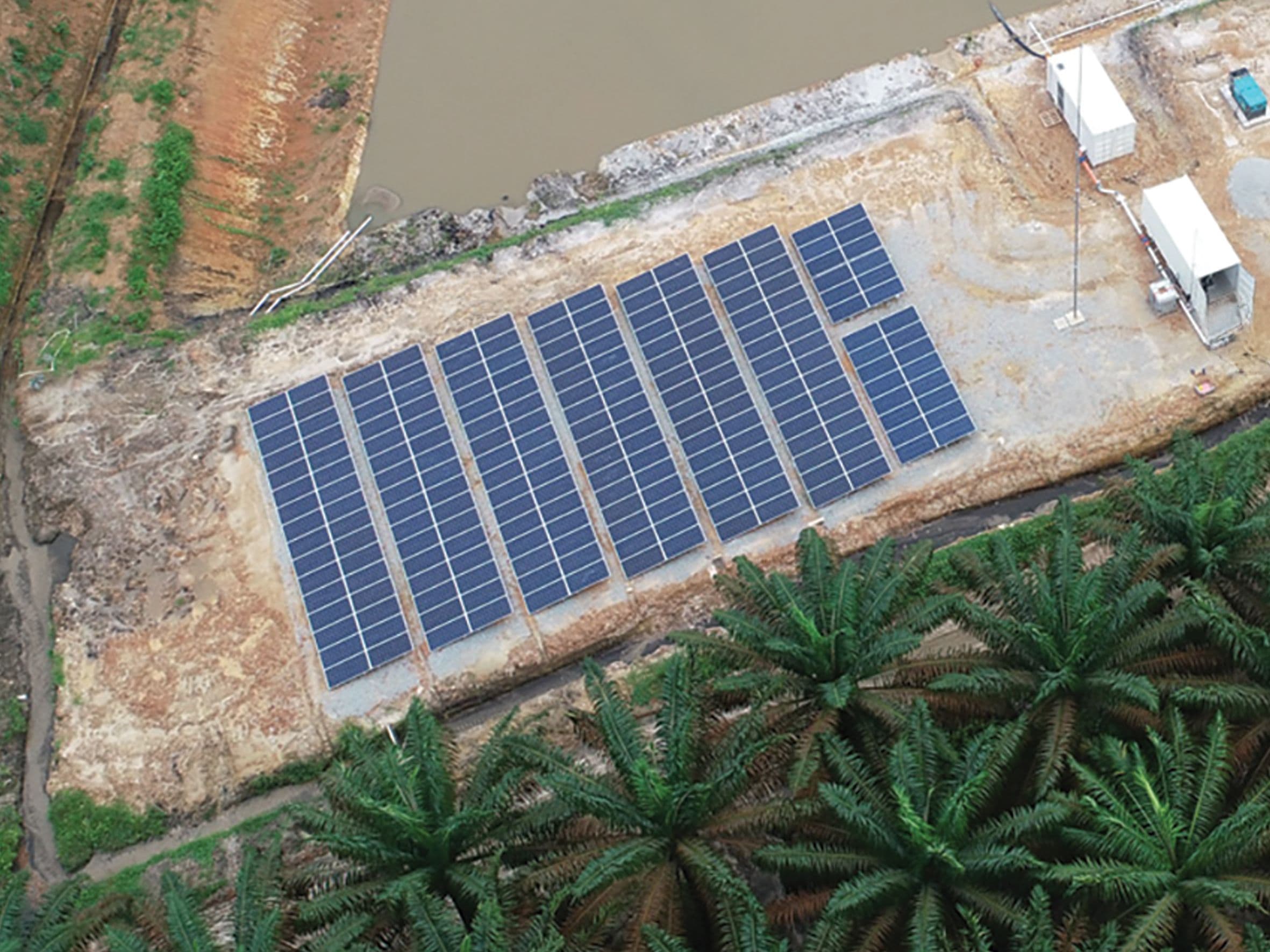 SMART Tbk - Plantation.jpg